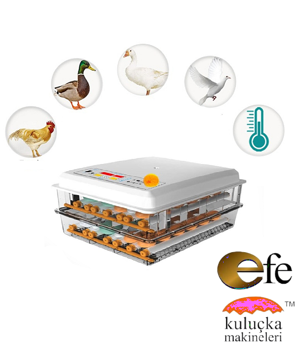 Hobi Kaz Kuluçka Makinesi