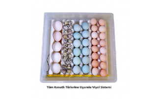 Kuluçka Makinesi Ördek Yumurtası İçin