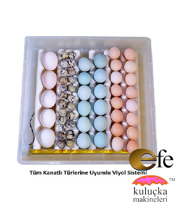 Hobi Kaz Kuluçka Makinesi