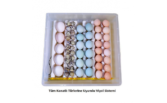 Kuluçka Makinesi Ördek Yumurtası İçin