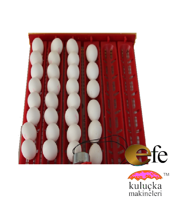 EFE 120 Lik Kuluçka Makinesi