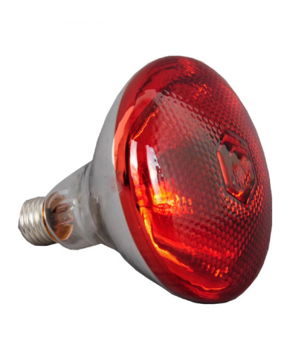 175 Watt İnfrared Isıtıcı Lamba