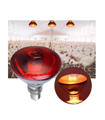 100 Watt İnfrared Isıtıcı