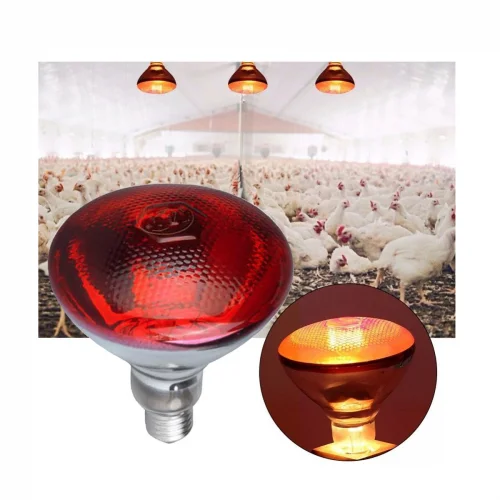 175 Watt İnfrared Isıtıcı Lamba 175 Watt İnfrared Isıtıcı Lamba