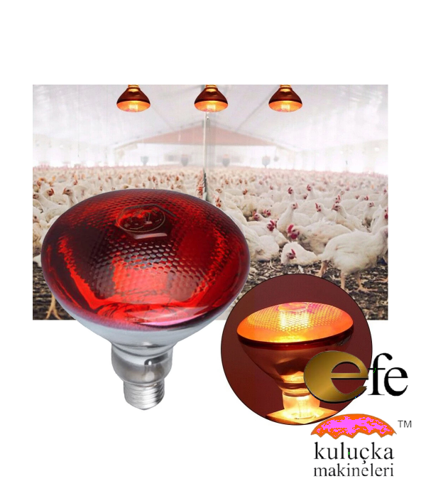 175 Watt İnfrared Isıtıcı Lamba