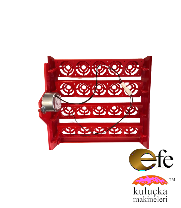 20 Tavuk Yumurta Viyolu