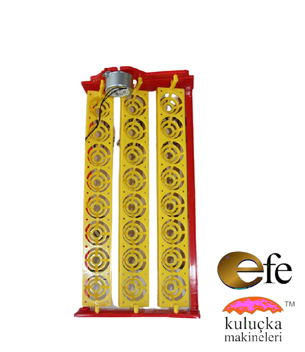 24 Tavuk Yumurta Viyolleri