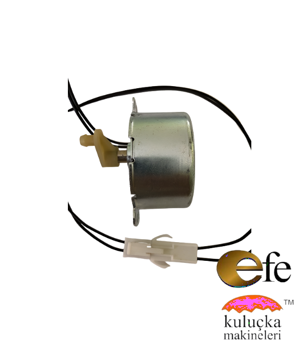 1/240 Rpm Motor