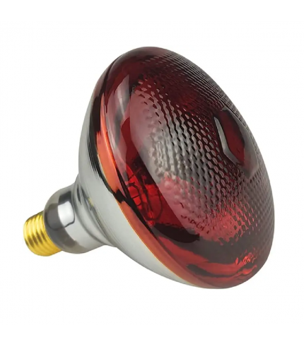 250 Watt İnfrared Isıtıcı Lamba