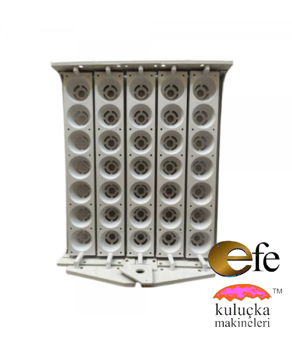 35 Tavuk Yumurtası Viyolü