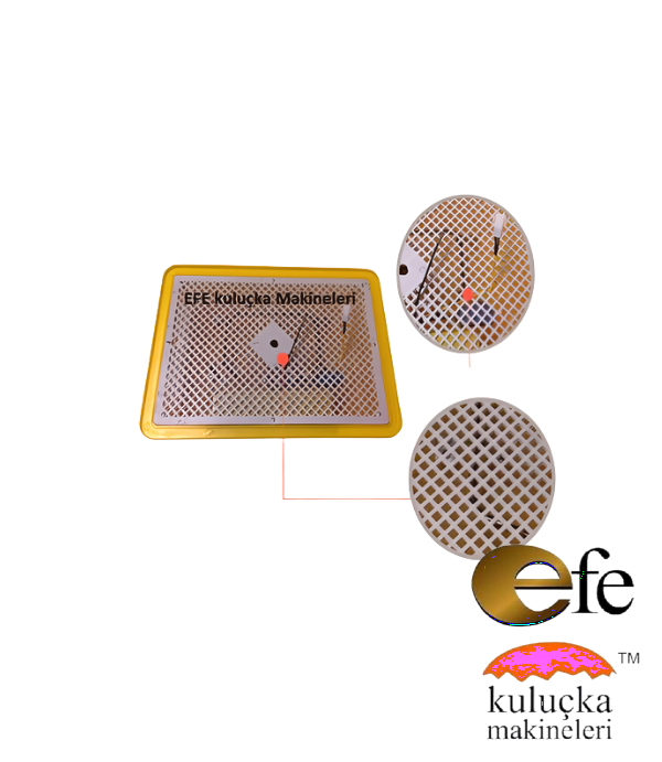 Efe 36 Lık Kuluçka Makinesi