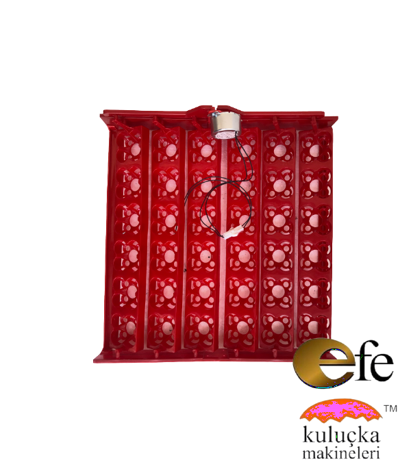 Efe 36 Lık Kuluçka Makinesi