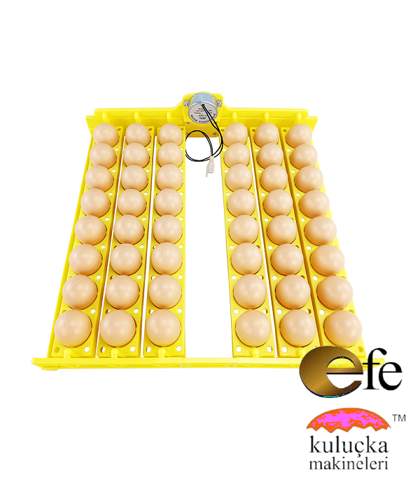 Efe 48 Li Kuluçka Makinesi