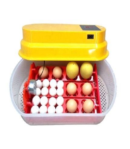 Kuluçka Makinesi 48 Bıldırcın Yumurtası