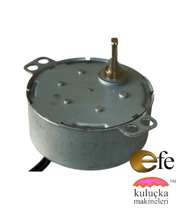50 TYZ 10/12 RPM Motor