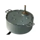 50 TYZ 10/12 RPM Motor 50 TYZ 10/12 RPM Motor