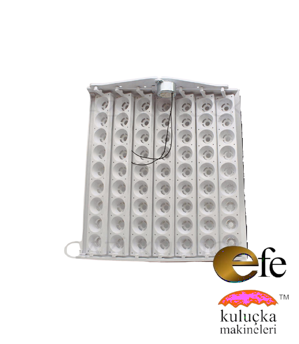63 Tavuk Yumurta Viyol