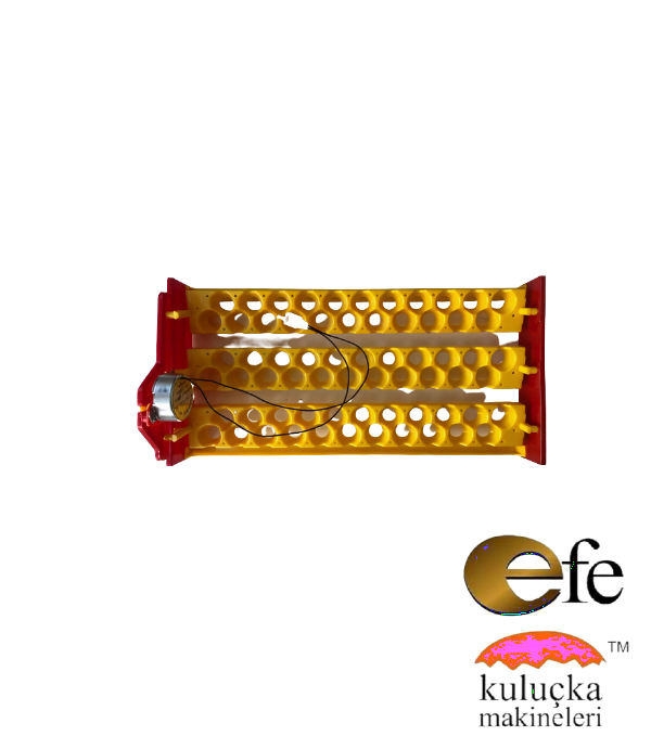 66 Bıldırcın Yumurtası Viyolü