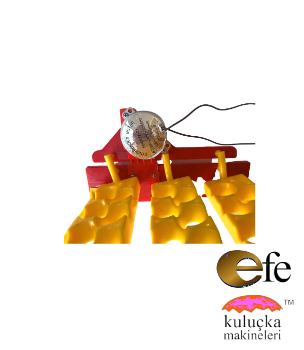 66 Bıldırcın Yumurtası Viyolü