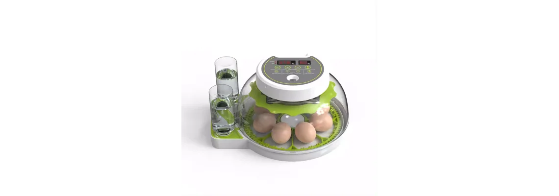 Kuluçka Makinesi 8 Yumurta Kuluçka Makinesi 8 Yumurta