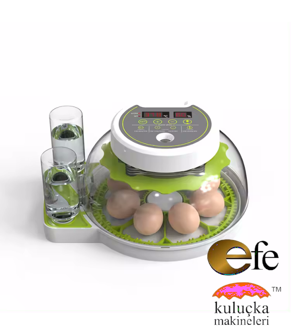 Mini Kuluçka Makinesi 8 Tavuk Yumurta