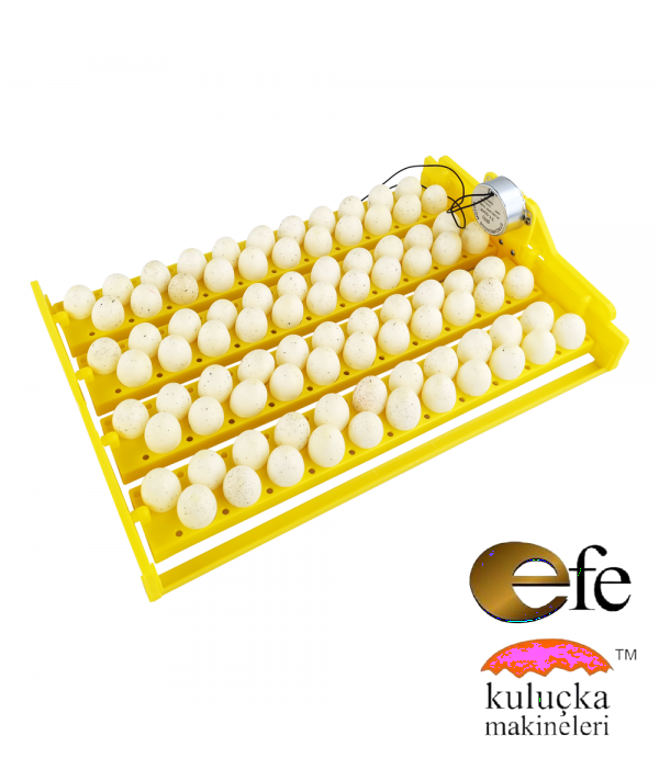 88 Bıldırcın Yumurtası Viyolü