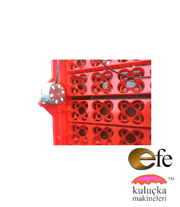 96 Bıldırcın Yumurta Viyol