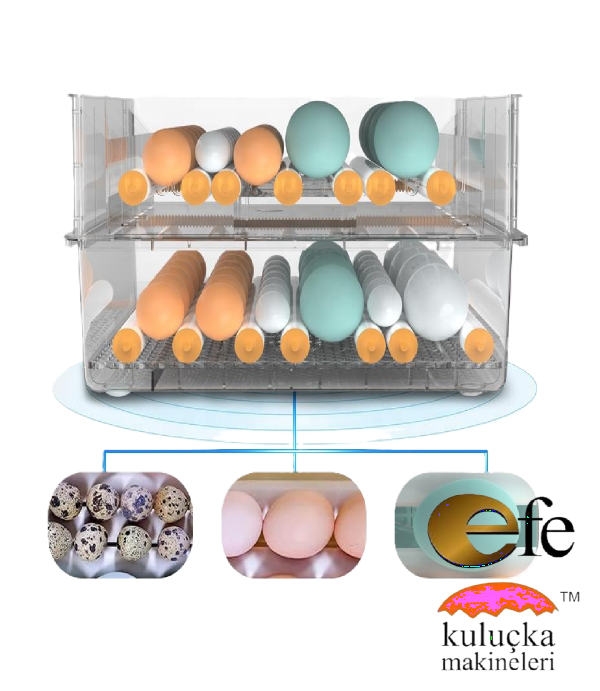 Efe 128 Kaz Kuluçka Makinesi