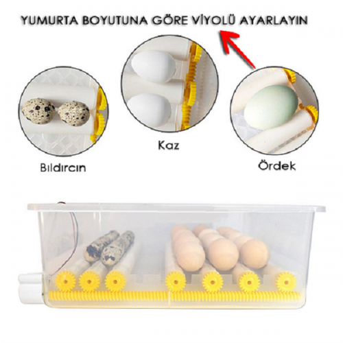 Kaz Kuluçka Makinesi 36 Kaz Kuluçka Makinesi 36