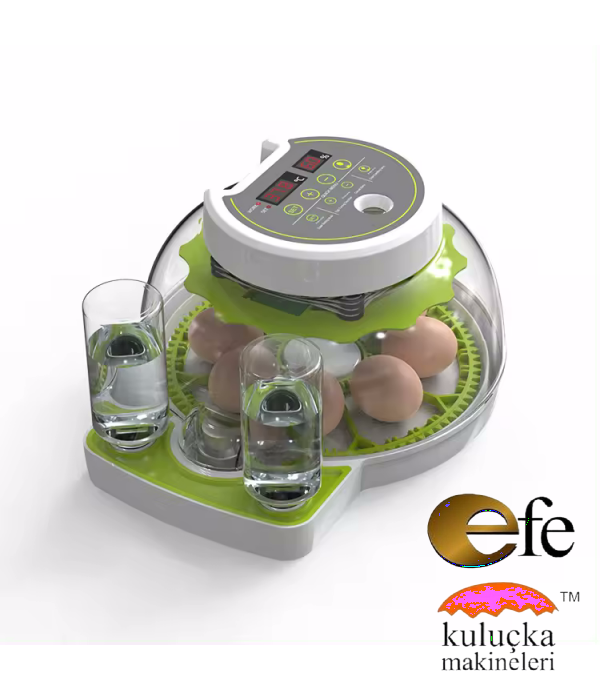 Mini Kuluçka Makinesi 8 Tavuk Yumurta