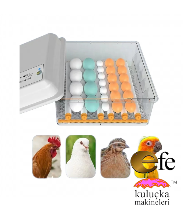 Kuluçka Makinesi 15 Tavuk Yumurtası