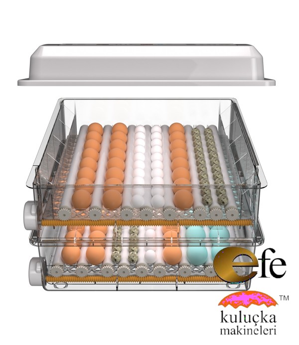 Kuluçka Makinesi 192 Model