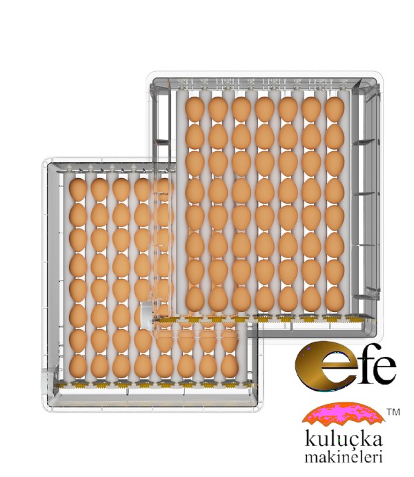 Kuluçka Makinesi 192 Model