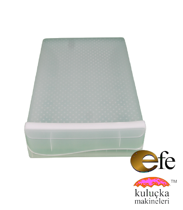 Yumurta Taşıma Kutusu