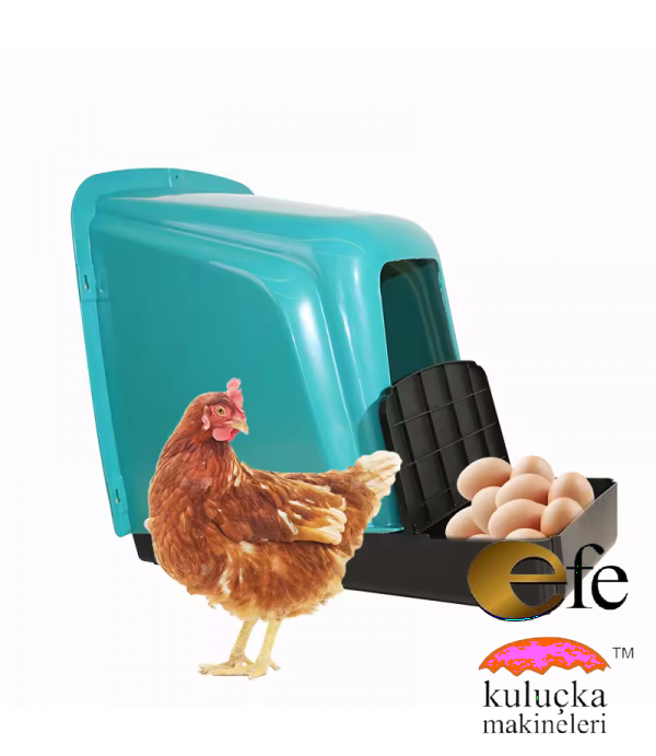 Asılabilir Tavuk Folluk