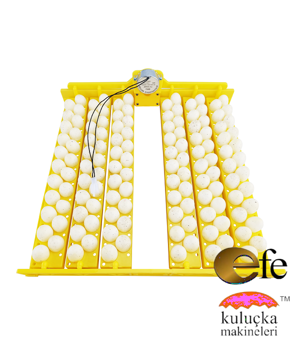 Bıldırcın Kuluçka Makinesi