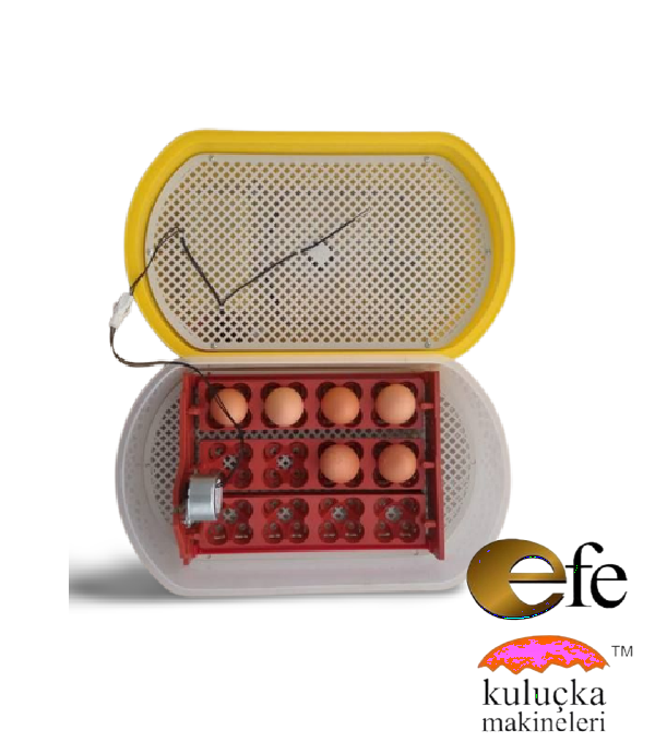 Efe 12 Li Kuluçka Makinesi