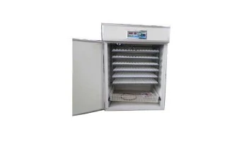 Kuluçka Makinesi Isısı