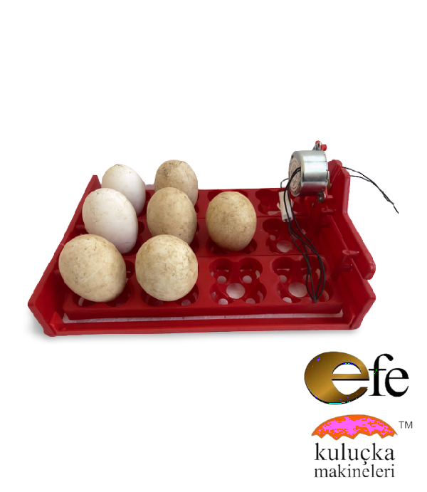 Efe 12 Li Kuluçka Makinesi