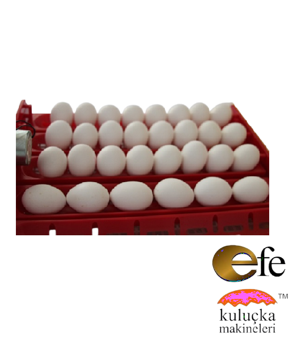 EFE 60 Lık Kuluçka Makinesi