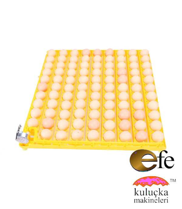 Efe 98 Tavuk Kuluçka Makinesi