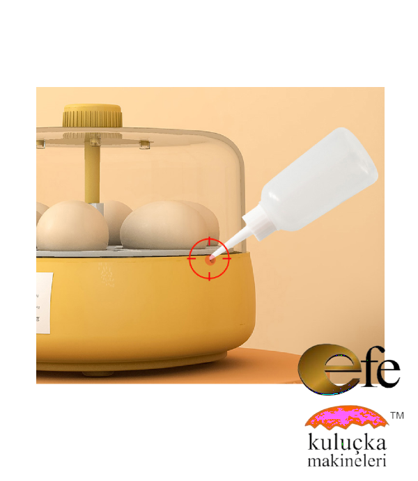 18 Bıldırcın Yumurtası Kuluçka Makinesi 