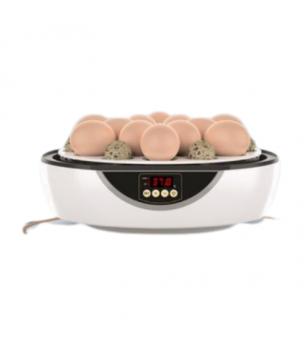 Kuluçka Makinesi 48 Bıldırcın Yumurtası