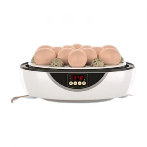 Kuluçka Makinesi 48 Bıldırcın Yumurtası Kuluçka Makinesi 48 Bıldırcın Yumurtası
