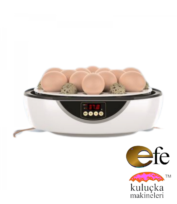 Kuluçka Makinesi 48 Bıldırcın Yumurtası