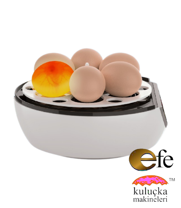 Kuluçka Makinesi 48 Bıldırcın Yumurtası