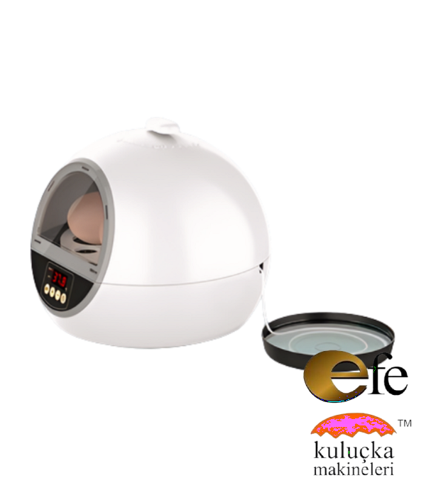 Kuluçka Makinesi 48 Bıldırcın Yumurtası
