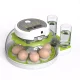 Mini Kuluçka Makinesi 8 Tavuk Yumurta Mini Kuluçka Makinesi 8 Tavuk Yumurta