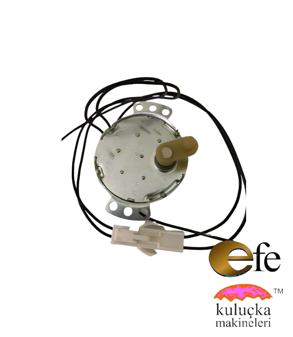 1/240 Rpm Motor