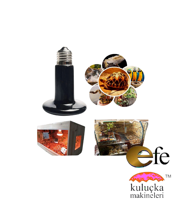 50 Watt Seramik Isıtıcı